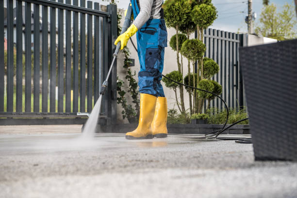 Best Pool Deck Cleaning  in Ray City, GA